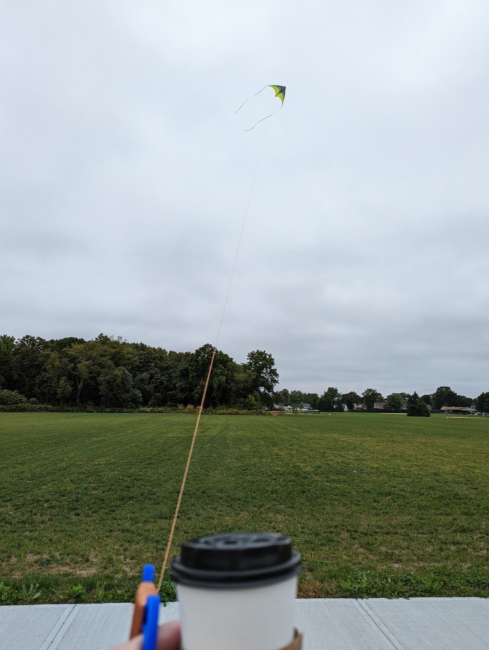 Are toy kites viable for elevating ham radio wire antennas? A blog—of